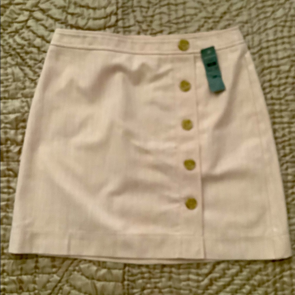 Ann Taylor Blush Skirt size 12P NWT